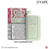 Fresh Raspberry Mint Nexus 6000 Pod Salt in Dubai, UAE
