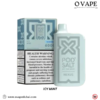 Icy Mint Nexus 6000 Pod Salt in Dubai, UAE
