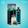 Black Currant Mint