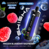 Frozen Blueberry Raspberry